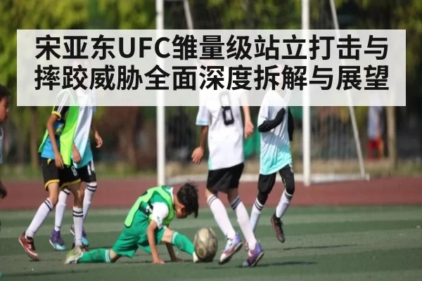 宋亚东UFC雏量级站立打击与摔跤威胁全面深度拆解与展望